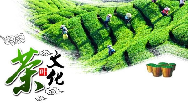 茶葉包裝要求規范